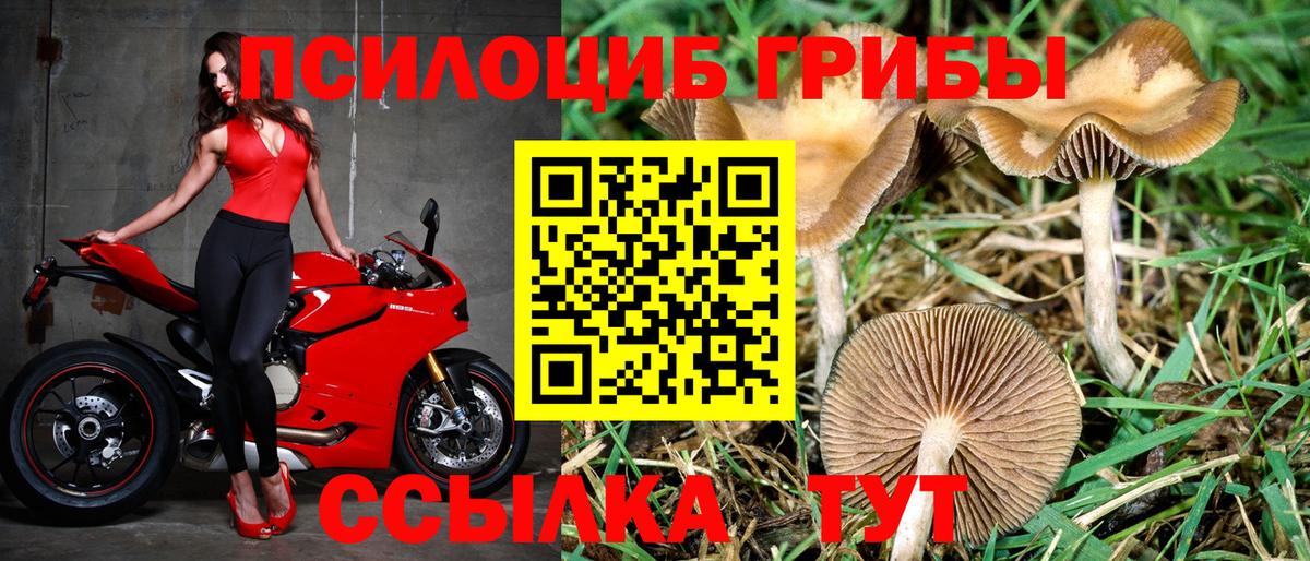 Псилоцибиновые грибы MAGIC MUSHROOMS Королёв