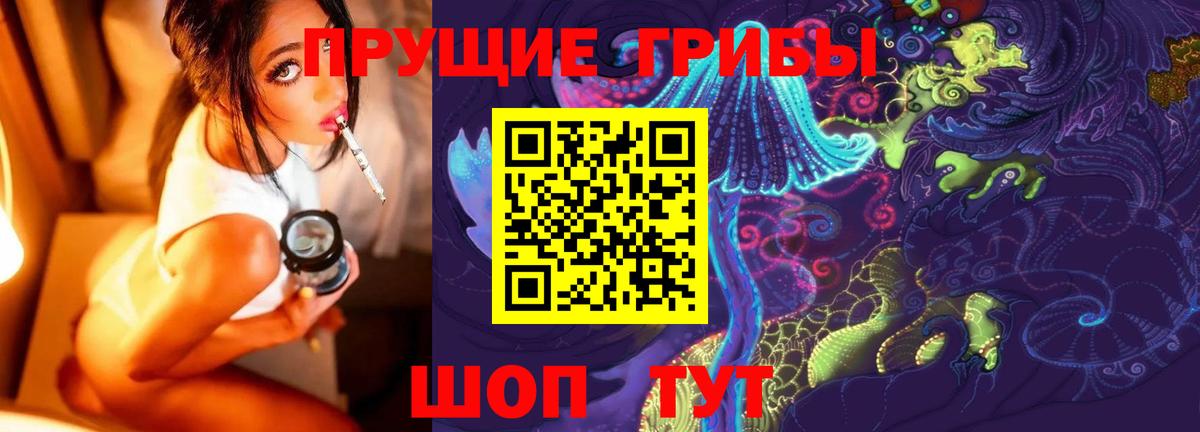 Галлюциногенные грибы GOLDEN TEACHER  Вход с VPN  Королёв 